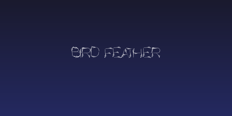 Bird Feather Social Header
