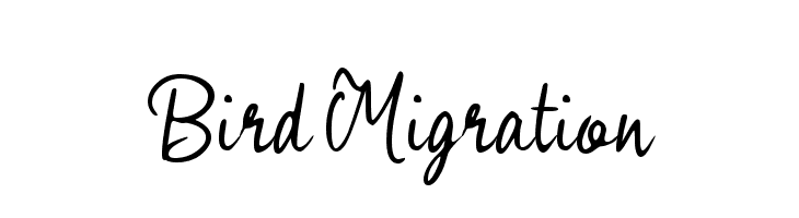 Bird Migration  لخطوط تنزيل