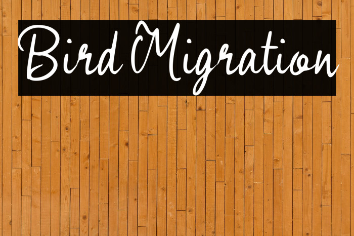 Bird Migration Example 1