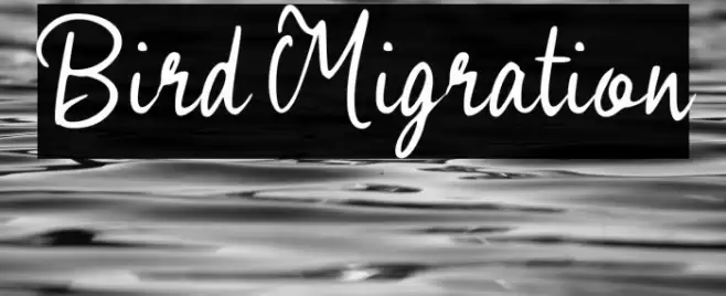 Bird Migration Font examples