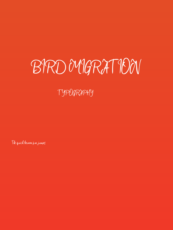 Bird Migration Poster