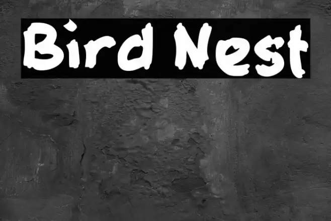 Bird Nest Font examples