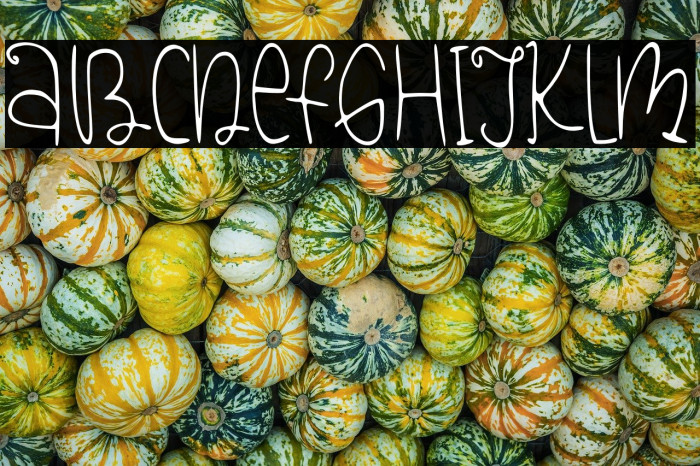 Bird Symphony Example 1