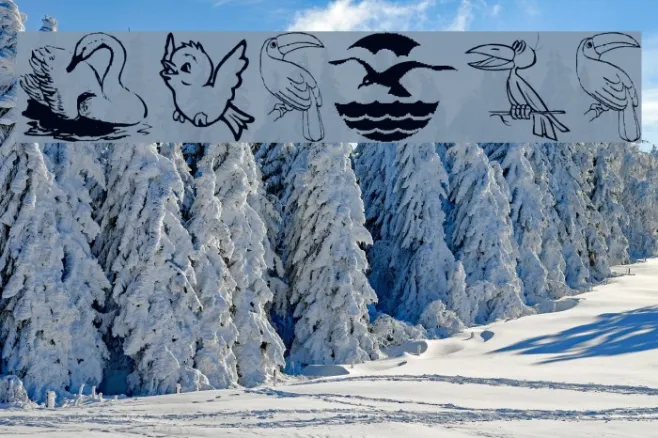 BirdArt Example 3