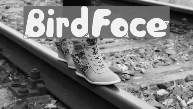 BirdFace Font examples