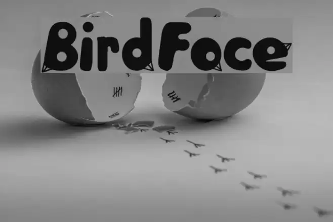 BirdFace Font examples