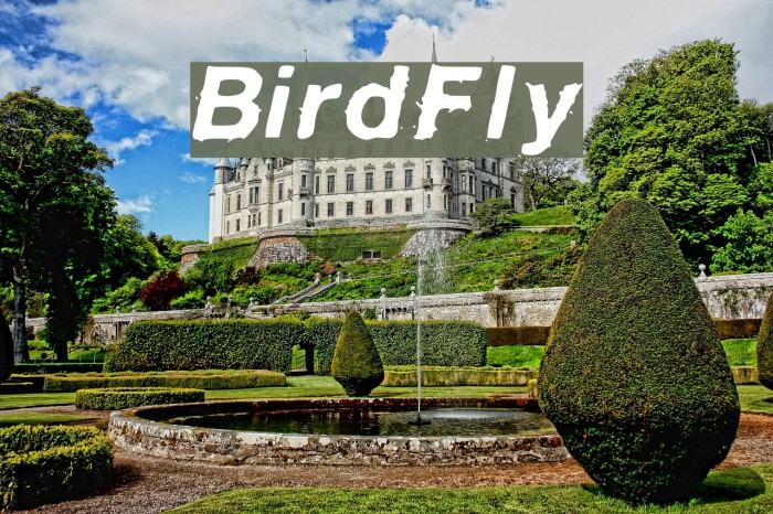 BirdFly Font examples