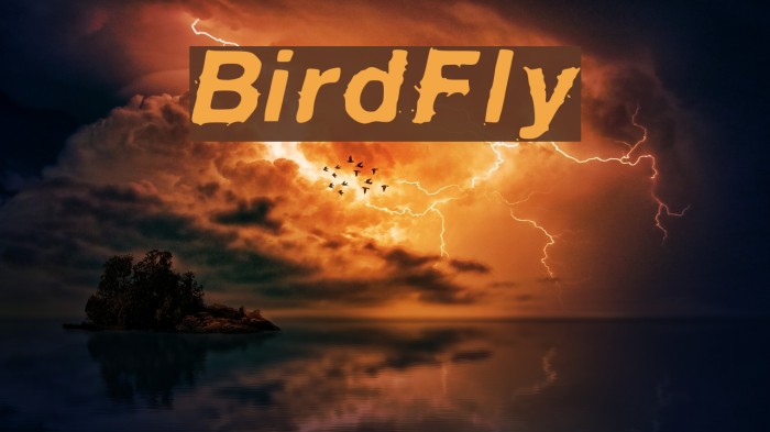BirdFly Font examples