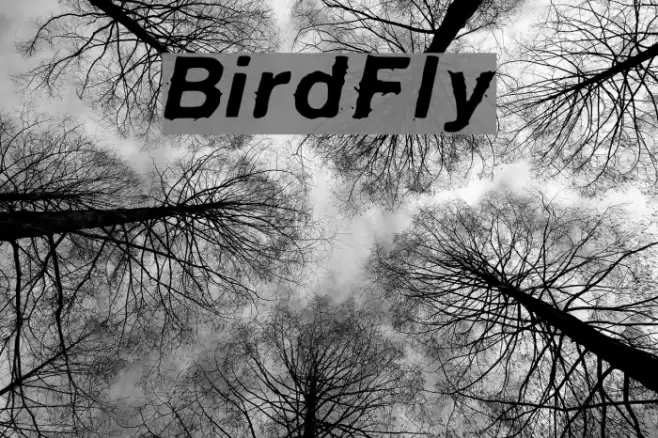 BirdFly Fuentes examples