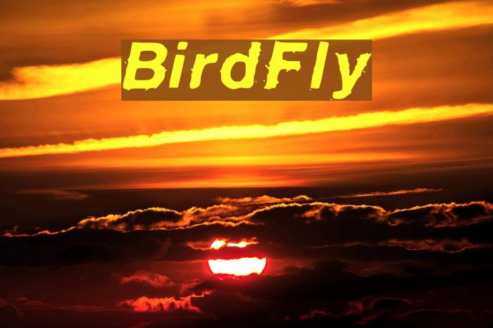 BirdFly Font examples