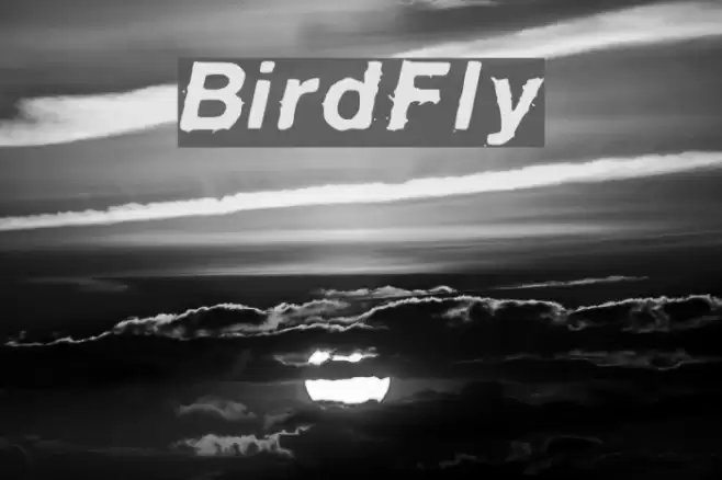 BirdFly Fuentes examples