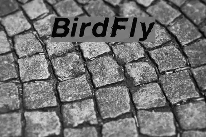 BirdFly Fuentes examples