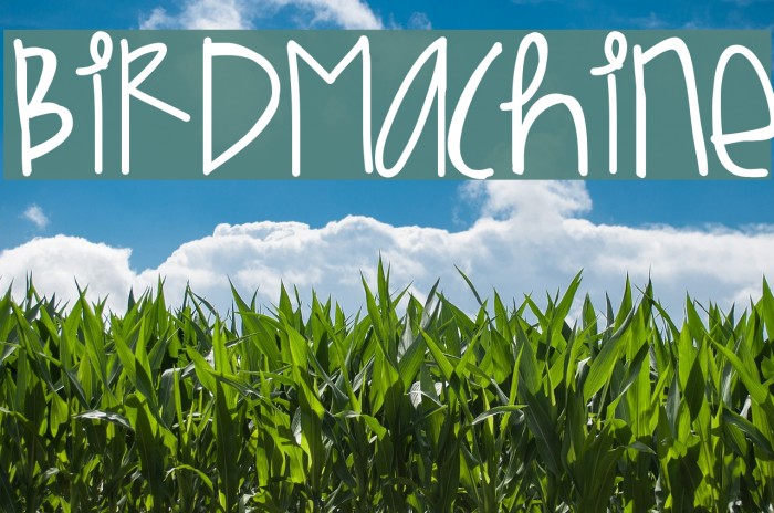 BirdMachine Font examples