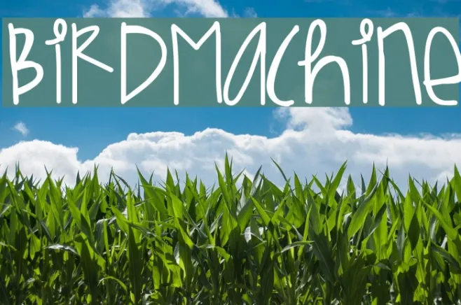BirdMachine Example 1