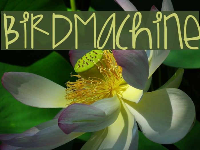 BirdMachine Font examples