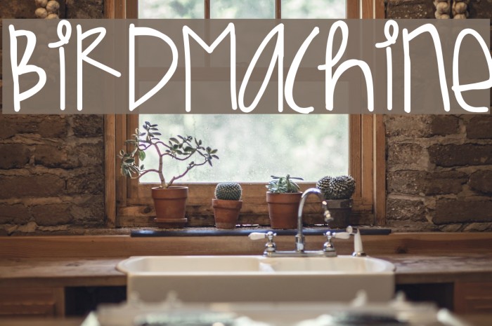 BirdMachine Font examples