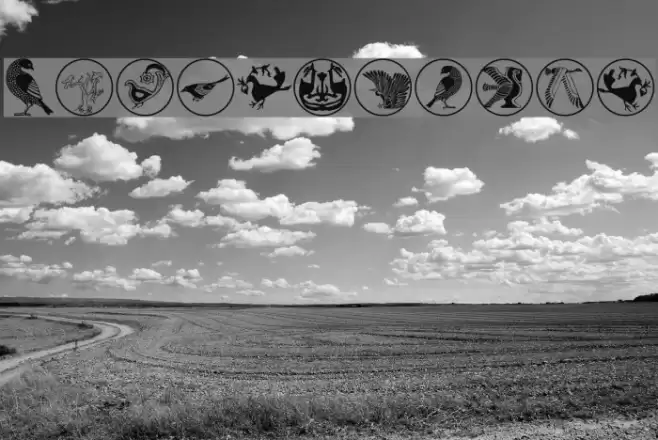 BirdSymbols Font examples