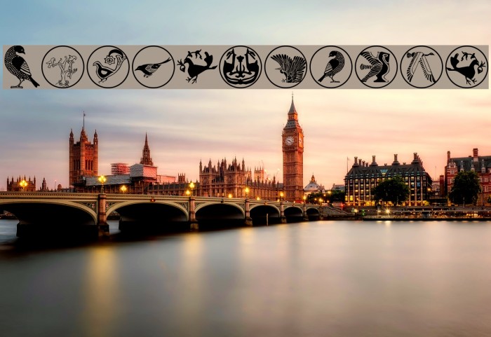 BirdSymbols Example 3