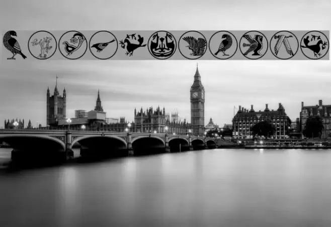 BirdSymbols Font examples