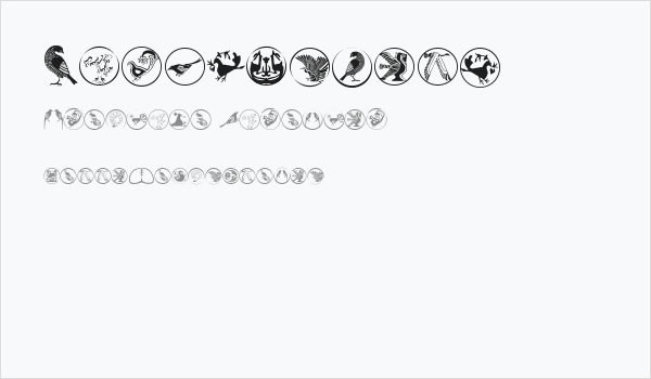 BirdSymbols Business Card