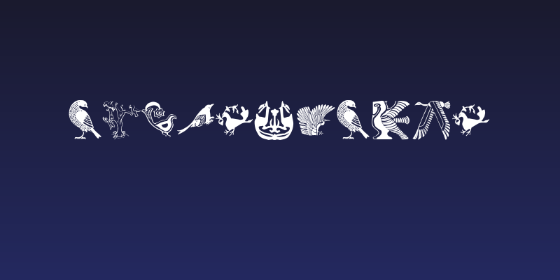 BirdSymbols Social Header