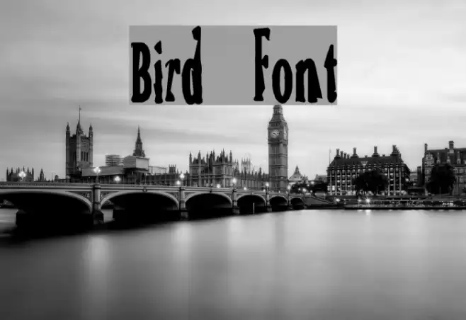 Bird Font examples