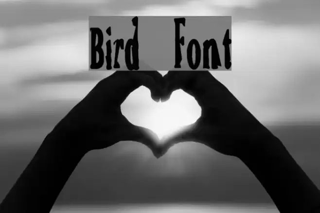 Bird Font examples