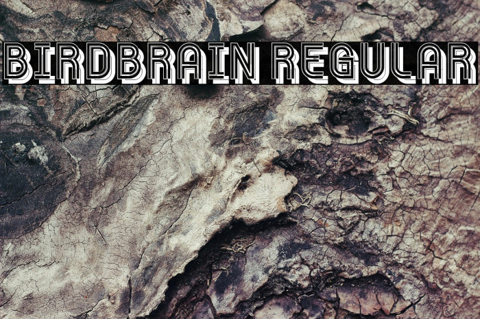 Birdbrain Regular Example 1