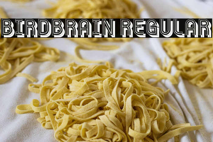 Birdbrain Regular Example 2