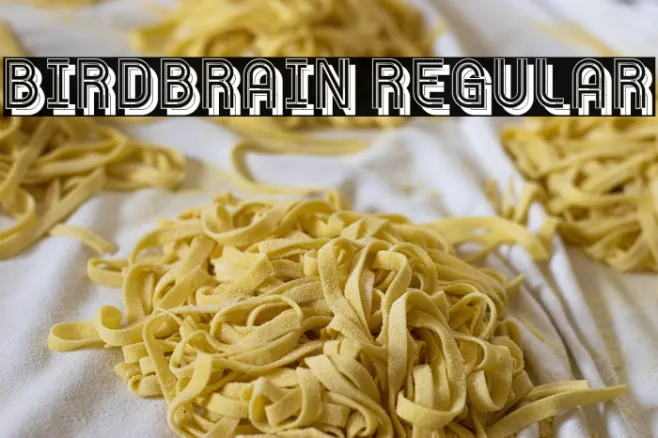 Birdbrain Regular Example 2