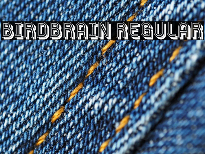 Birdbrain Regular Example 3