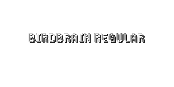 Birdbrain Regular Logo