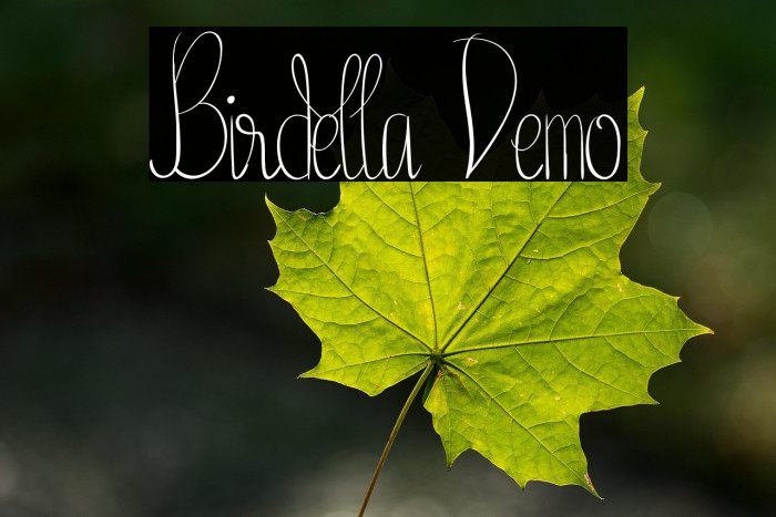 Birdella Demo Example 1