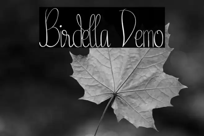 Birdella Demo Font examples
