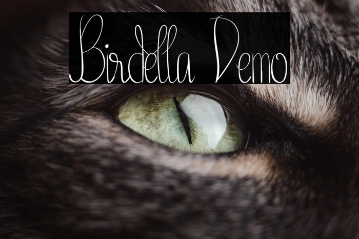 Birdella Demo Example 3