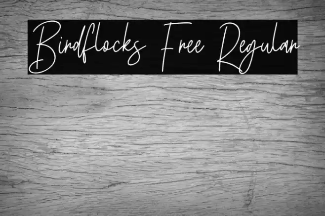 Birdflocks Free Regular Schriftart examples
