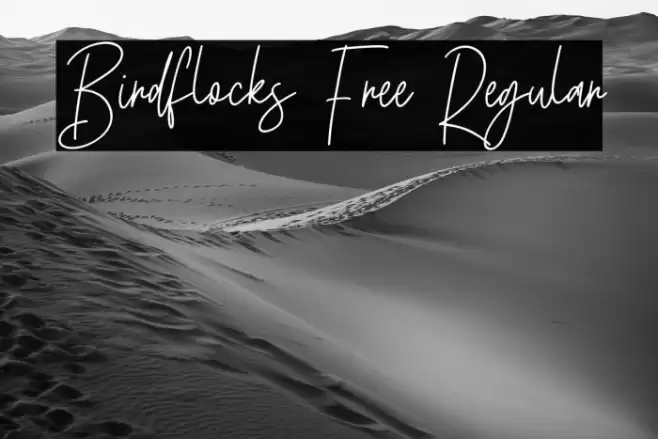 Birdflocks Free Regular Schriftart examples