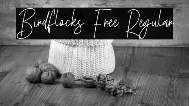 Birdflocks Free Regular Schriftart examples