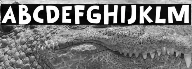 Birdgo Font examples