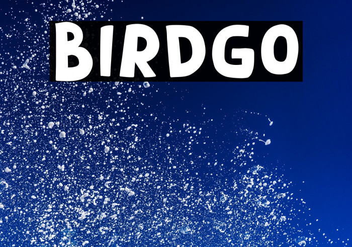 Birdgo Example 1