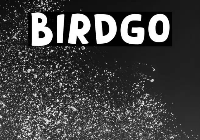 Birdgo Font examples