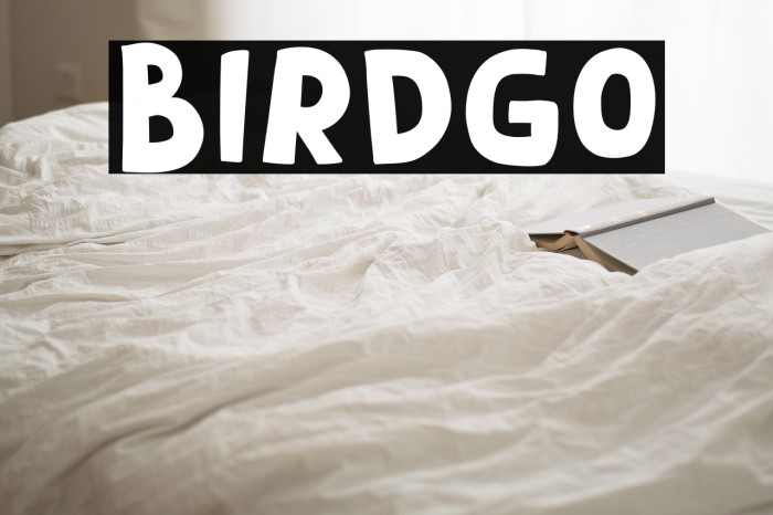 Birdgo Example 2