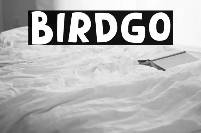 Birdgo Font examples