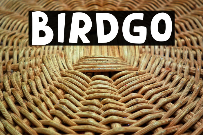 Birdgo Example 3