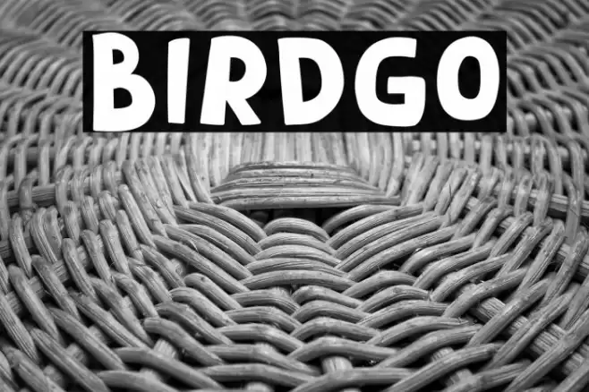 Birdgo Font examples