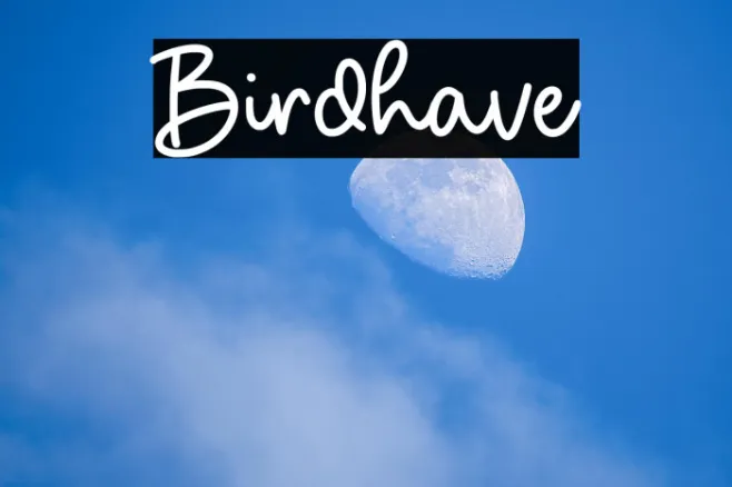 Birdhave Example 1