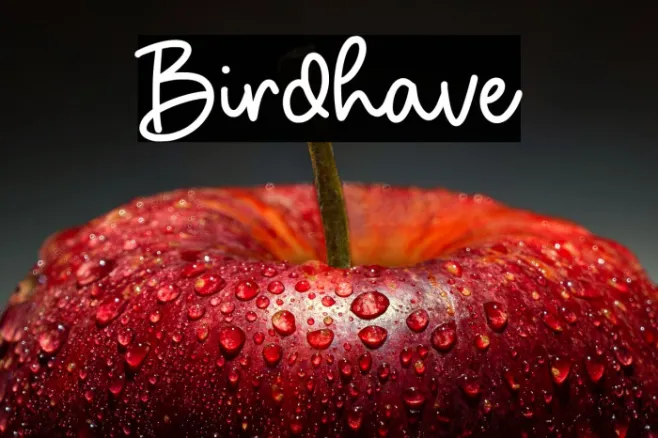 Birdhave Example 2