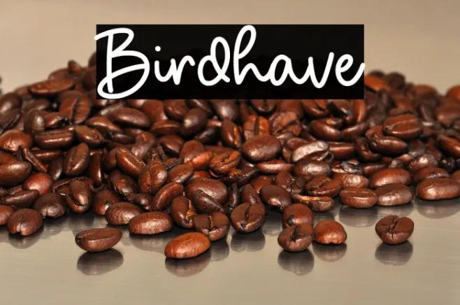 Birdhave Example 3