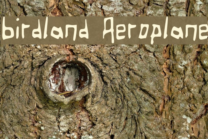 Birdland Aeroplane Font examples