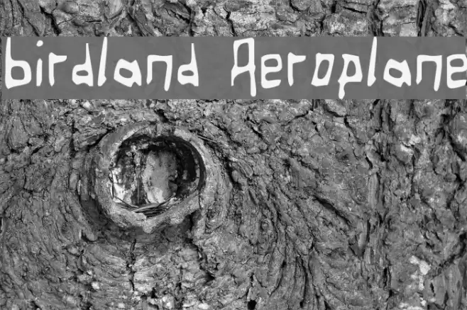 Birdland Aeroplane Шрифта examples